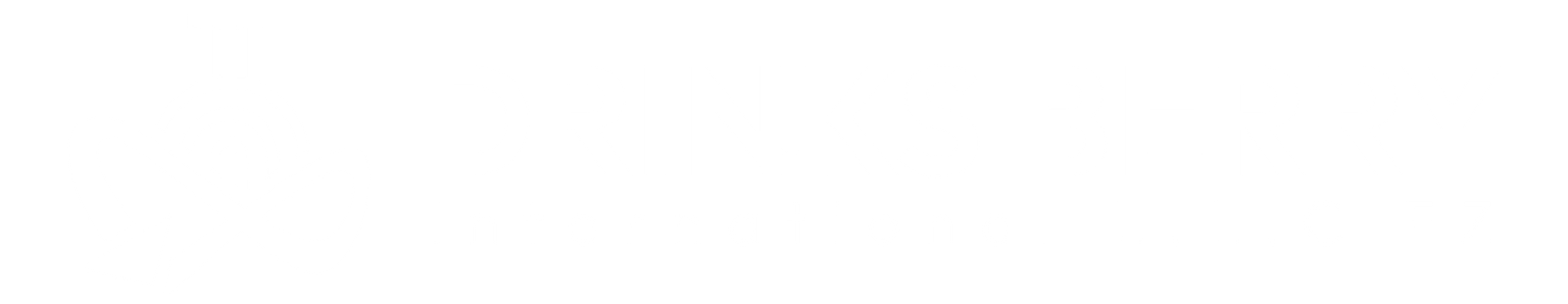 Drinksberry International Logo